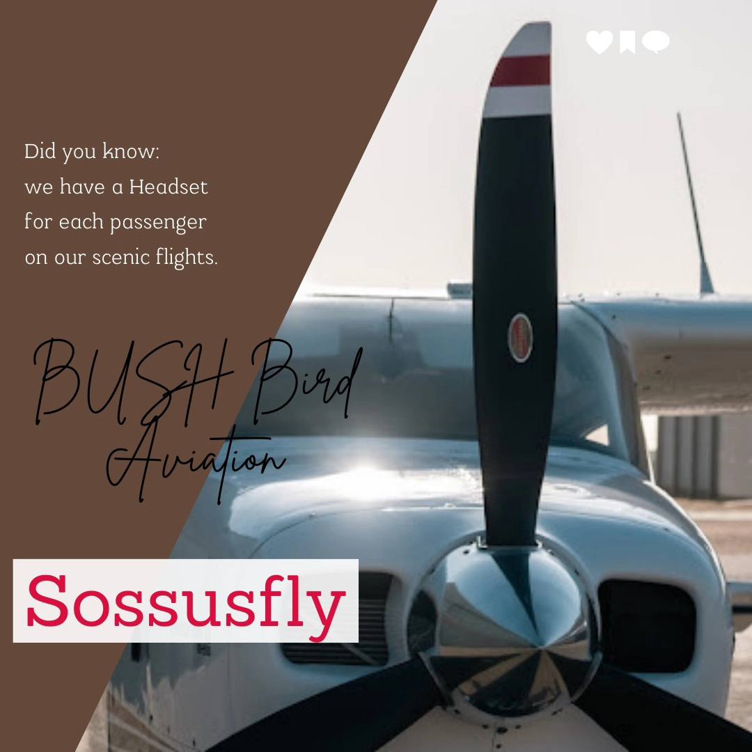 Bush Bird Aviation CC - logo