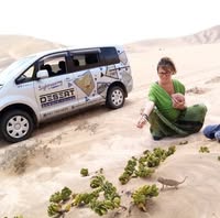 Desert Scenic Tours - logo