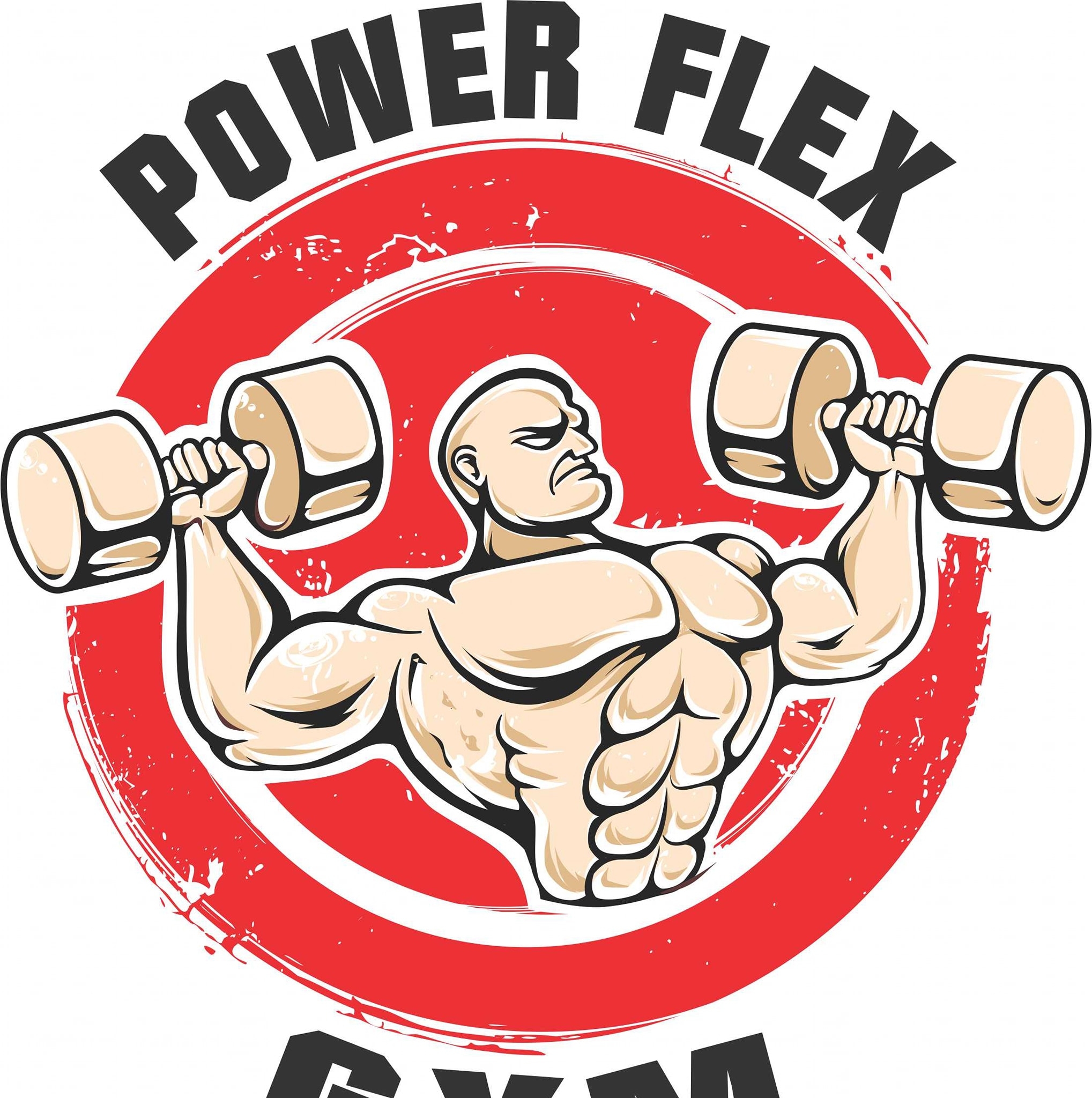Power Flex Gym Namibia - logo