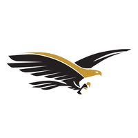 Raptors Travel - logo