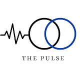 The Pulse Namibia - logo