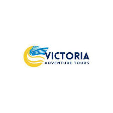 Victoria Leisure Boats and Car Hire CC - logo