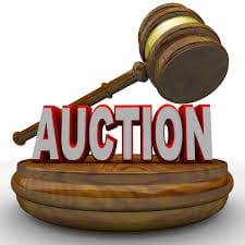 Auction Kings - logo