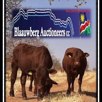 Blaauwberg Auctioneers - logo