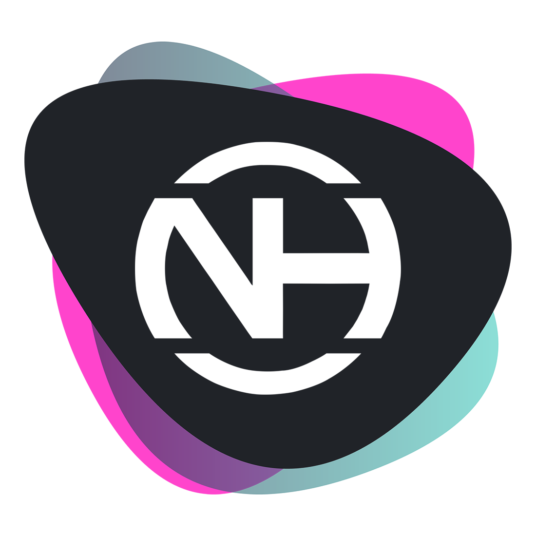 Namhost Internet Services (Pty) Ltd. - logo
