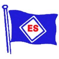 Express Services (Pty) Ltd - logo