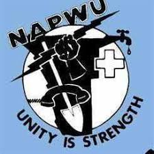 Namibia Public Workers Union (NAPWU) - logo